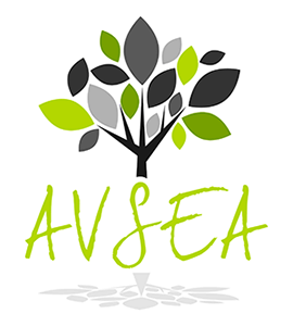 Logo AVSEA