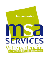 Logo MSA SERVICES LIMOUSIN
